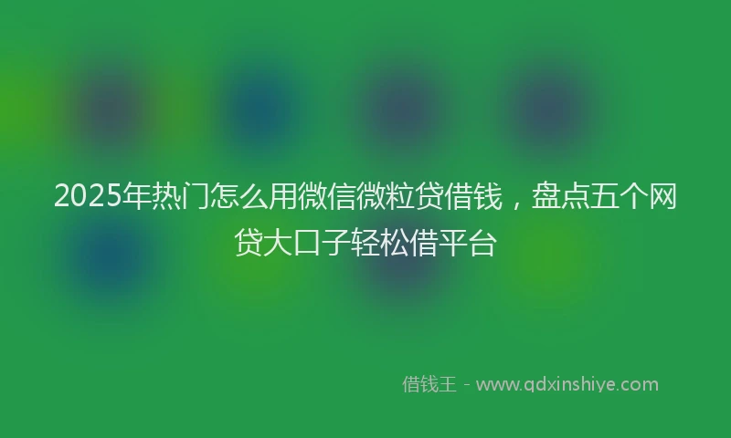 2025年热门怎么用微信微粒贷借钱，盘点五个网贷大口子轻松借平台