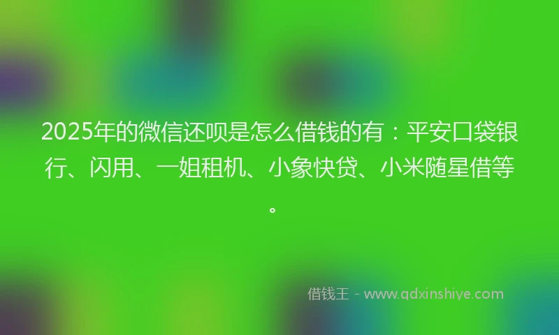 2025年的微信还呗是怎么借钱的有：平安口袋银行、闪用、一姐租机、小象快贷、小米随星借等。