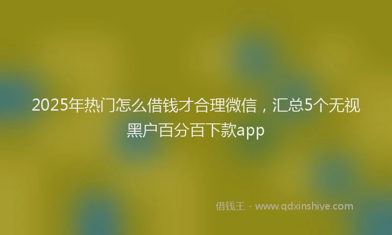 2025年热门怎么借钱才合理微信，汇总5个无视黑户百分百下款app