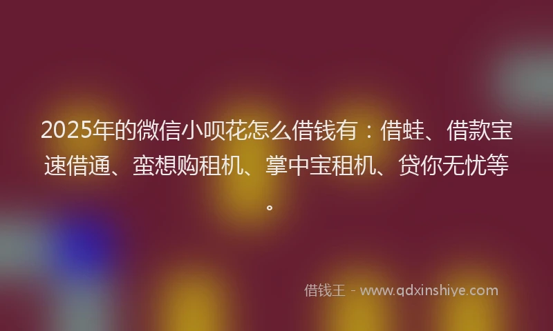 2025年的微信小呗花怎么借钱有：借蛙、借款宝速借通、蛮想购租机、掌中宝租机、贷你无忧等。