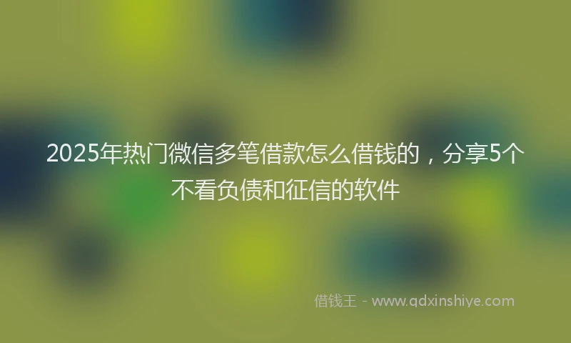 2025年热门微信多笔借款怎么借钱的，分享5个不看负债和征信的软件