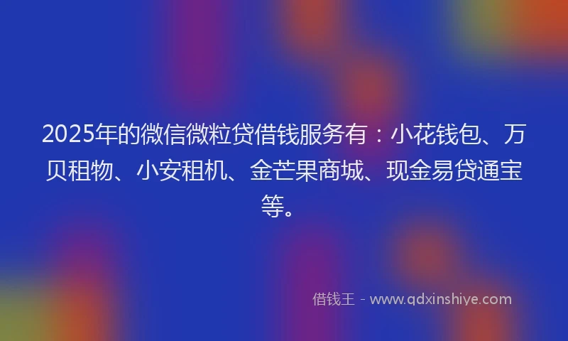 2025年的微信微粒贷借钱服务有：小花钱包、万贝租物、小安租机、金芒果商城、现金易贷通宝等。