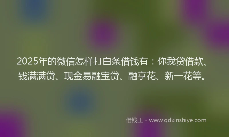 2025年的微信怎样打白条借钱有：你我贷借款、钱满满贷、现金易融宝贷、融享花、新一花等。