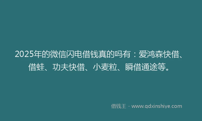 2025年的微信闪电借钱真的吗有：爱鸿森快借、借蛙、功夫快借、小麦粒、瞬借通途等。