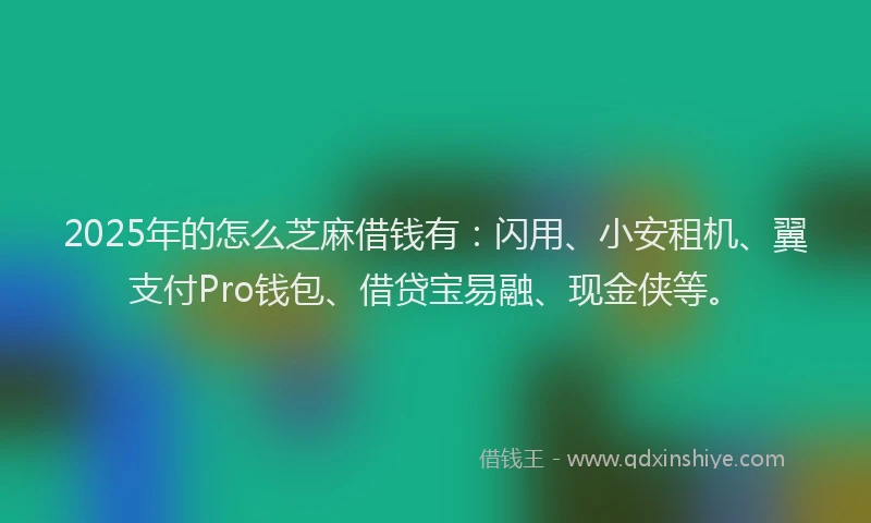 2025年的怎么芝麻借钱有：闪用、小安租机、翼支付Pro钱包、借贷宝易融、现金侠等。