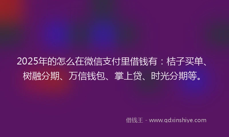 2025年的怎么在微信支付里借钱有:桔子买单、树融分期、万信钱包、掌上贷、时光分期等。