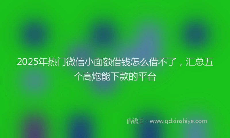 2025年热门微信小面额借钱怎么借不了，汇总五个高炮能下款的平台