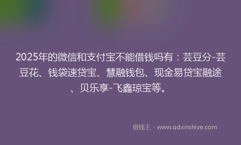2025年的微信和支付宝不能借钱吗有：芸豆分-芸豆花、钱袋速贷宝、慧融钱包、现金易贷宝融途、贝乐享-飞鑫琼宝等。
