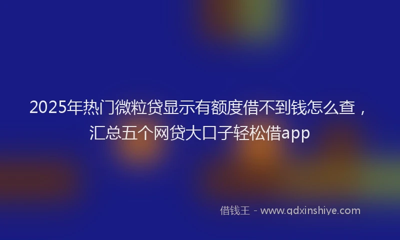 2025年热门微粒贷显示有额度借不到钱怎么查，汇总五个网贷大口子轻松借app