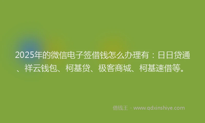 2025年的微信电子签借钱怎么办理有：日日贷通、祥云钱包、柯基贷、极客商城、柯基速借等。