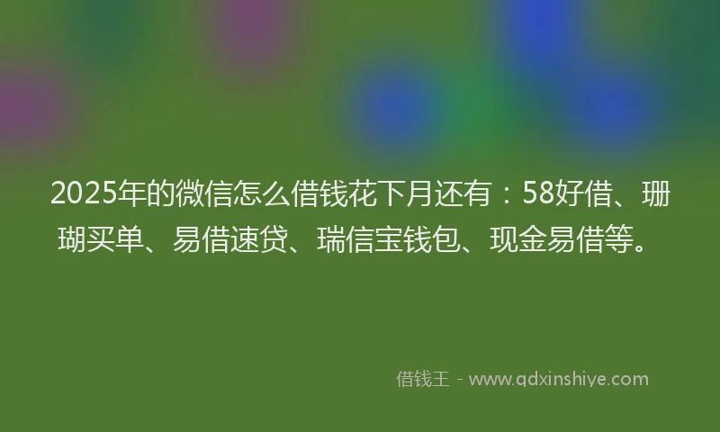 2025年的微信怎么借钱花下月还有：58好借、珊瑚买单、易借速贷、瑞信宝钱包、现金易借等。