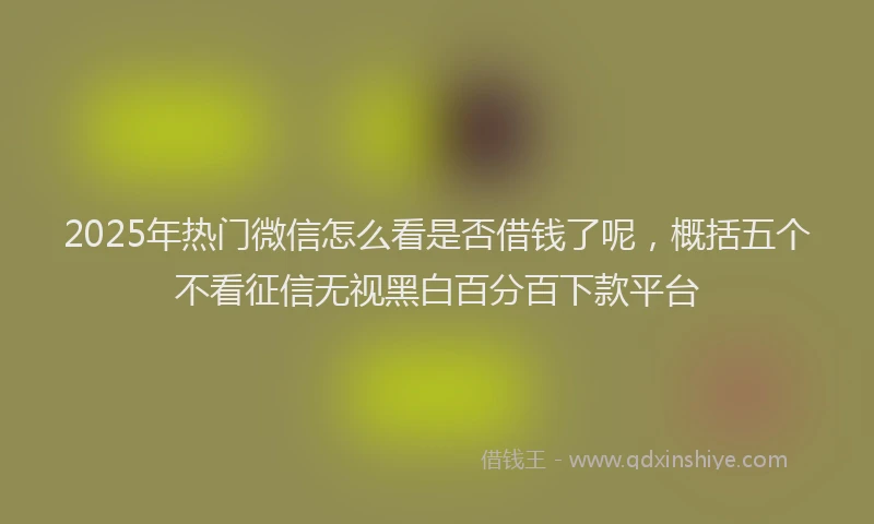 2025年热门微信怎么看是否借钱了呢，概括五个不看征信无视黑白百分百下款平台