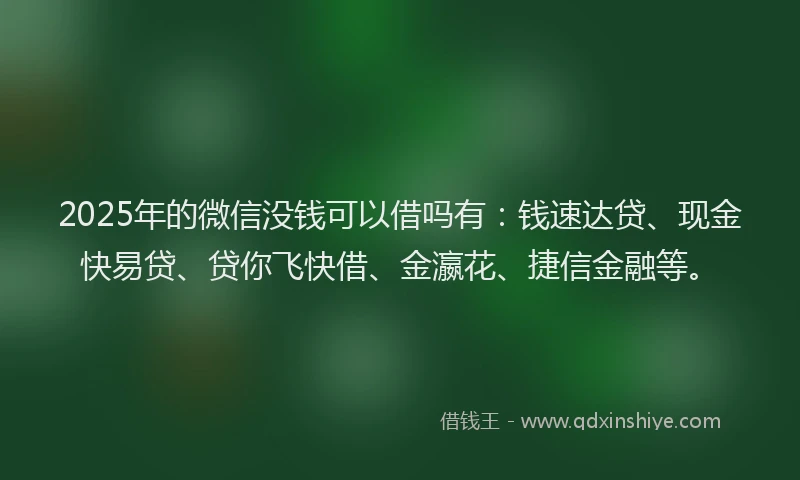 2025年的微信没钱可以借吗有：钱速达贷、现金快易贷、贷你飞快借、金瀛花、捷信金融等。