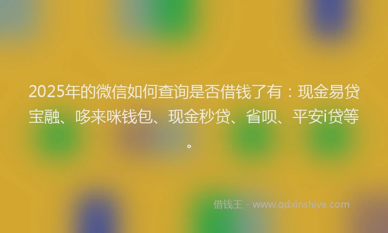 2025年的微信如何查询是否借钱了有：现金易贷宝融、哆来咪钱包、现金秒贷、省呗、平安i贷等。