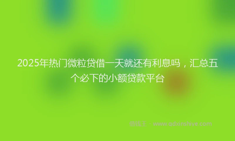 2025年热门微粒贷借一天就还有利息吗，汇总五个必下的小额贷款平台