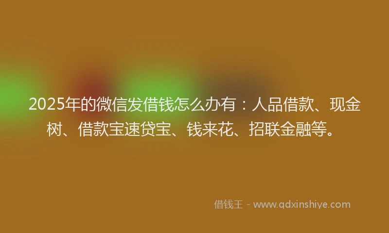 2025年的微信发借钱怎么办有：人品借款、现金树、借款宝速贷宝、钱来花、招联金融等。