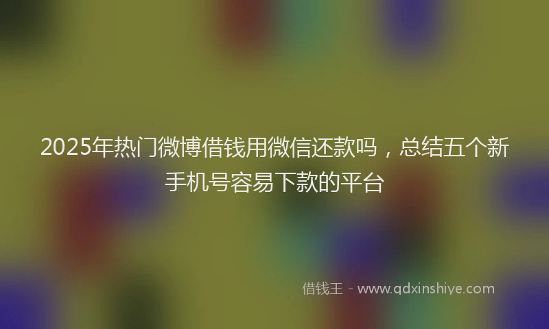 2025年热门微博借钱用微信还款吗，总结五个新手机号容易下款的平台