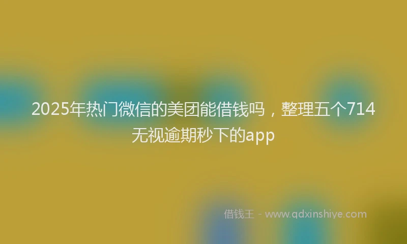 2025年热门微信的美团能借钱吗,整理五个714无视逾期秒下的app