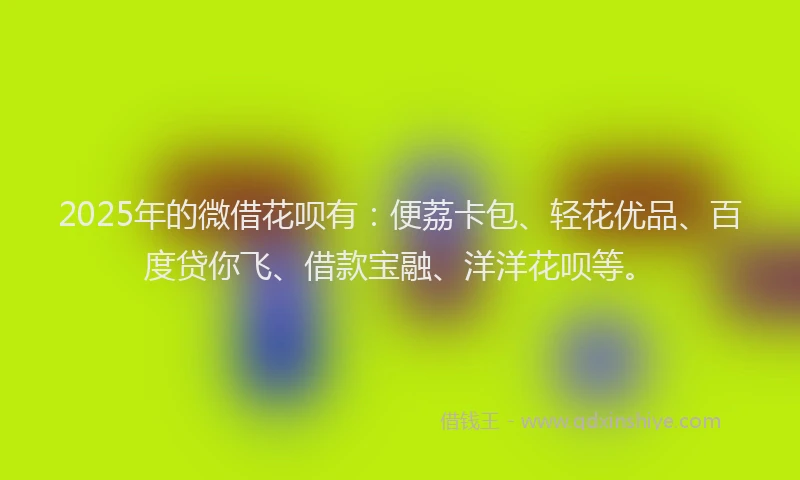 2025年的微借花呗有：便荔卡包、轻花优品、百度贷你飞、借款宝融、洋洋花呗等。