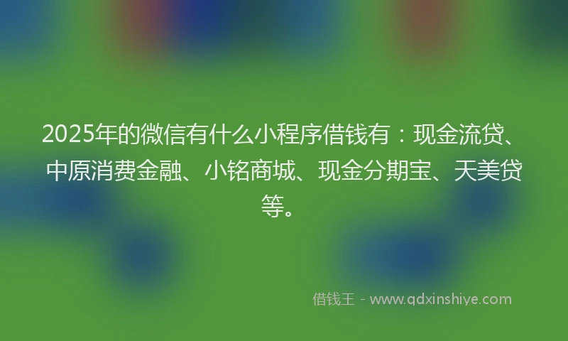 2025年的微信有什么小程序借钱有：现金流贷、中原消费金融、小铭商城、现金分期宝、天美贷等。