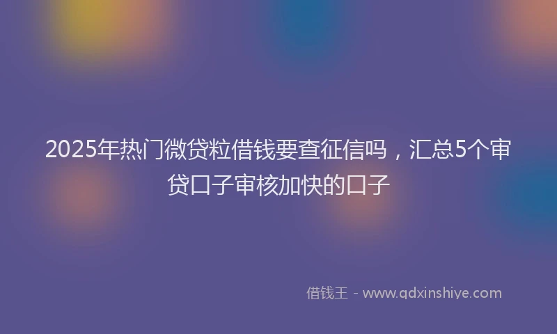 2025年热门微贷粒借钱要查征信吗，汇总5个审贷口子审核加快的口子