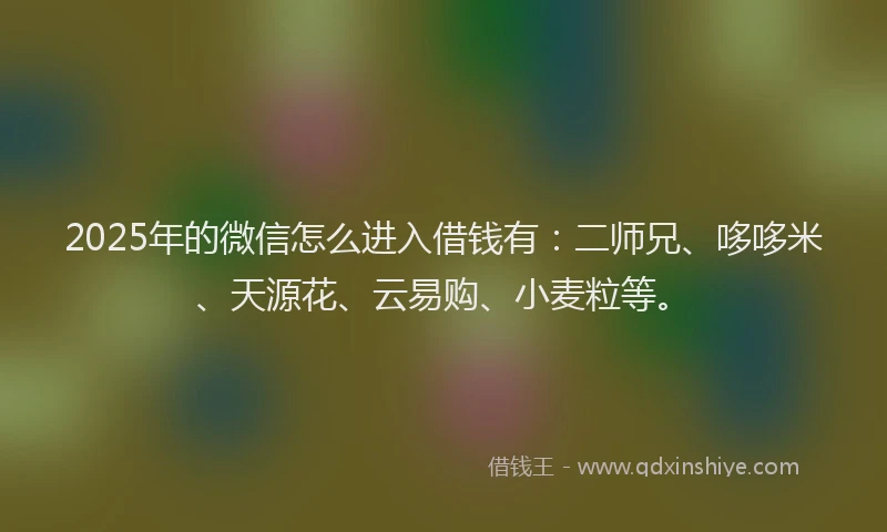 2025年的微信怎么进入借钱有：二师兄、哆哆米、天源花、云易购、小麦粒等。
