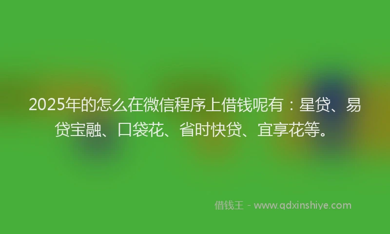 2025年的怎么在微信程序上借钱呢有：星贷、易贷宝融、口袋花、省时快贷、宜享花等。
