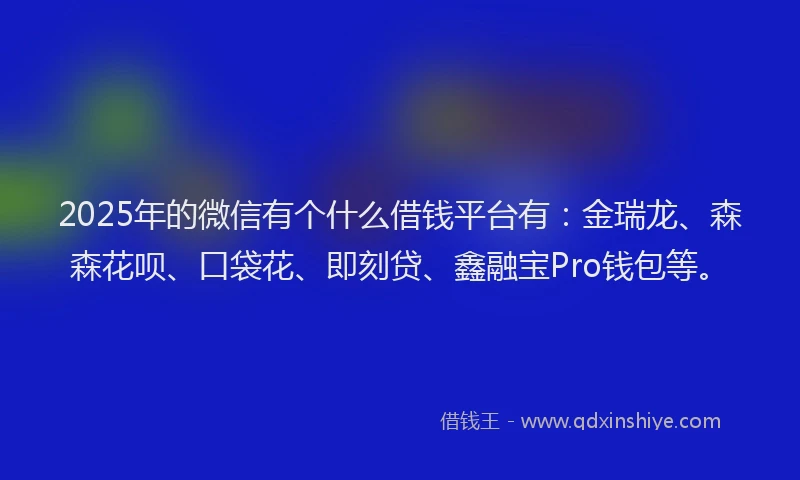 2025年的微信有个什么借钱平台有：金瑞龙、森森花呗、口袋花、即刻贷、鑫融宝Pro钱包等。