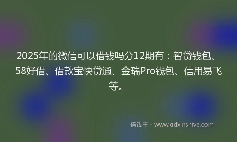 2025年的微信可以借钱吗分12期有：智贷钱包、58好借、借款宝快贷通、金瑞Pro钱包、信用易飞等。