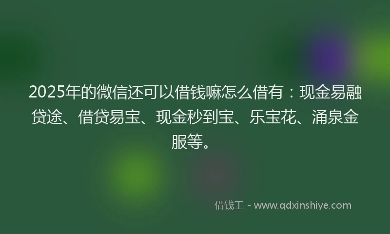 2025年的微信还可以借钱嘛怎么借有:现金易融贷途、借贷易宝、现金秒到宝、乐宝花、涌泉金服等。
