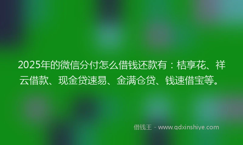 2025年的微信分付怎么借钱还款有：桔享花、祥云借款、现金贷速易、金满仓贷、钱速借宝等。