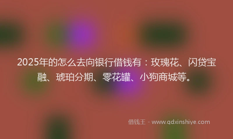 2025年的怎么去向银行借钱有:玫瑰花、闪贷宝融、琥珀分期、零花罐、小狗商城等。
