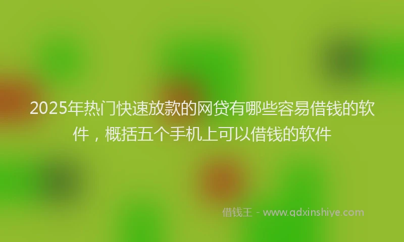 2025年热门快速放款的网贷有哪些容易借钱的软件，概括五个手机上可以借钱的软件