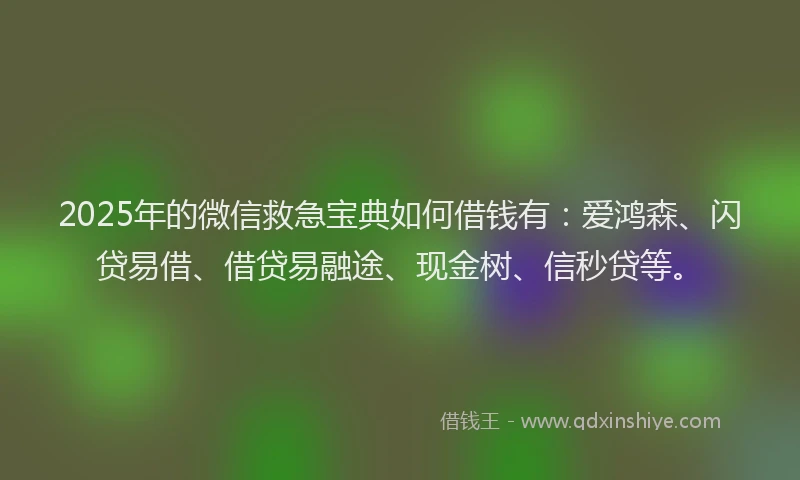 2025年的微信救急宝典如何借钱有：爱鸿森、闪贷易借、借贷易融途、现金树、信秒贷等。