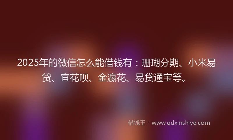 2025年的微信怎么能借钱有：珊瑚分期、小米易贷、宜花呗、金瀛花、易贷通宝等。