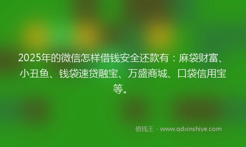 2025年的微信怎样借钱安全还款有：麻袋财富、小丑鱼、钱袋速贷融宝、万盛商城、口袋信用宝等。