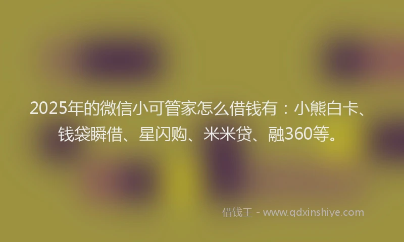 2025年的微信小可管家怎么借钱有：小熊白卡、钱袋瞬借、星闪购、米米贷、融360等。