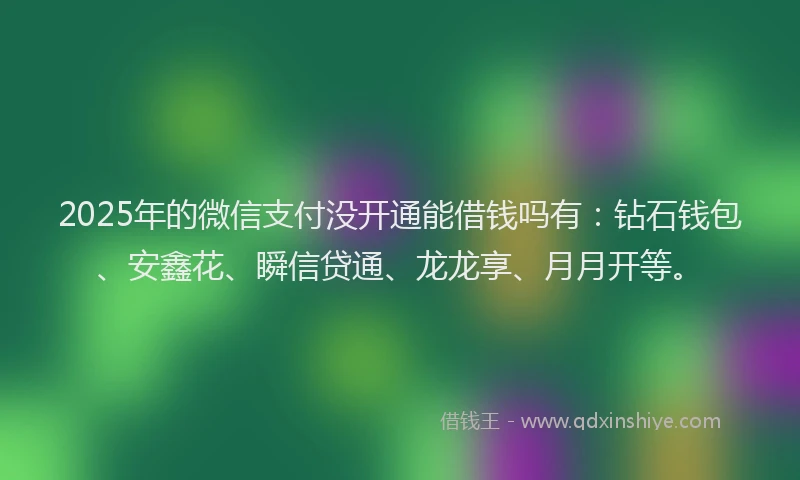 2025年的微信支付没开通能借钱吗有：钻石钱包、安鑫花、瞬信贷通、龙龙享、月月开等。