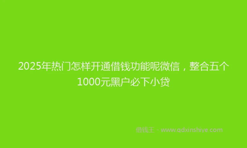 2025年热门怎样开通借钱功能呢微信，整合五个1000元黑户必下小贷