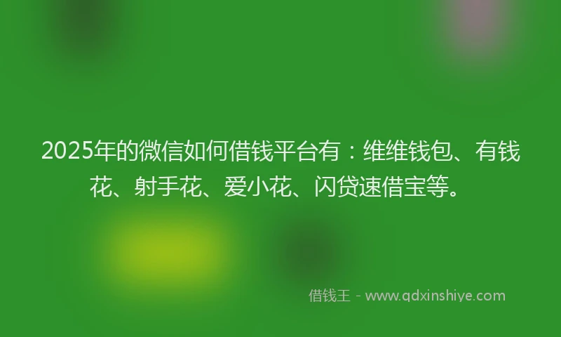 2025年的微信如何借钱平台有：维维钱包、有钱花、射手花、爱小花、闪贷速借宝等。
