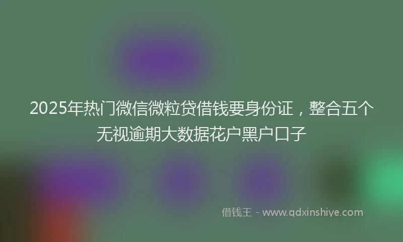 2025年热门微信微粒贷借钱要身份证，整合五个无视逾期大数据花户黑户口子