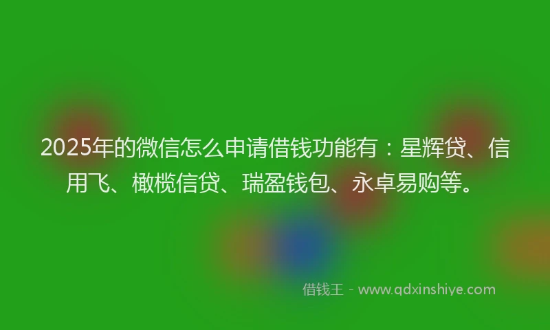 2025年的微信怎么申请借钱功能有：星辉贷、信用飞、橄榄信贷、瑞盈钱包、永卓易购等。