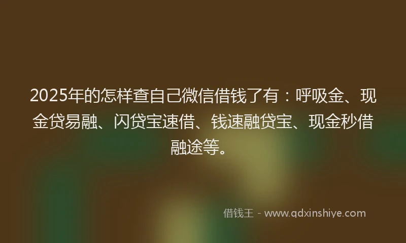 2025年的怎样查自己微信借钱了有：呼吸金、现金贷易融、闪贷宝速借、钱速融贷宝、现金秒借融途等。