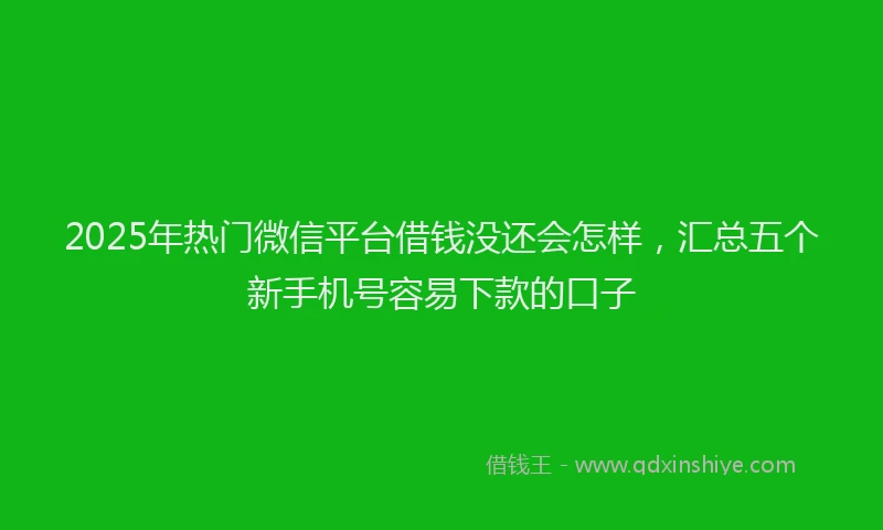 2025年热门微信平台借钱没还会怎样，汇总五个新手机号容易下款的口子