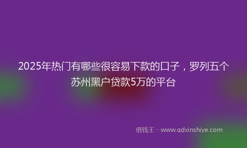 2025年热门有哪些很容易下款的口子，罗列五个苏州黑户贷款5万的平台