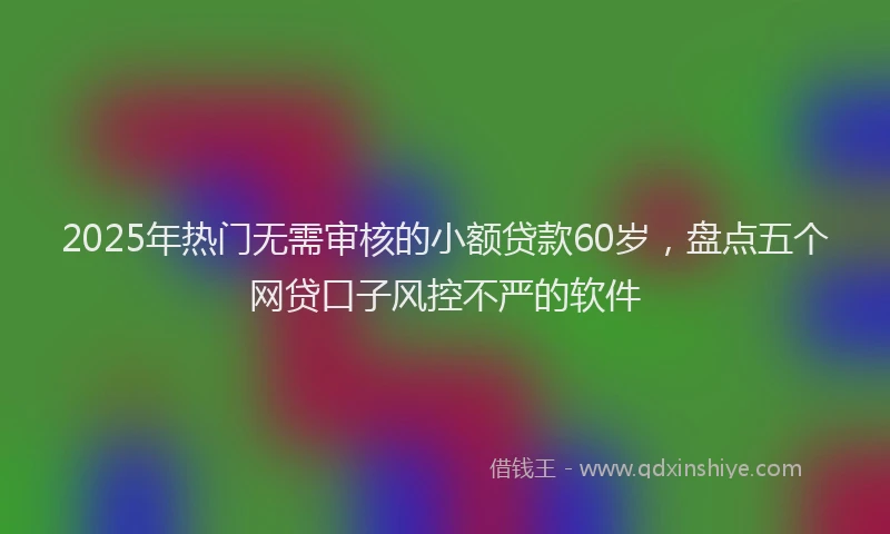 2025年热门无需审核的小额贷款60岁，盘点五个网贷口子风控不严的软件