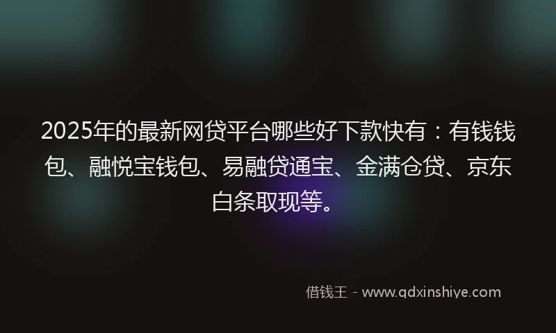 2025年的最新网贷平台哪些好下款快有：有钱钱包、融悦宝钱包、易融贷通宝、金满仓贷、京东白条取现等。