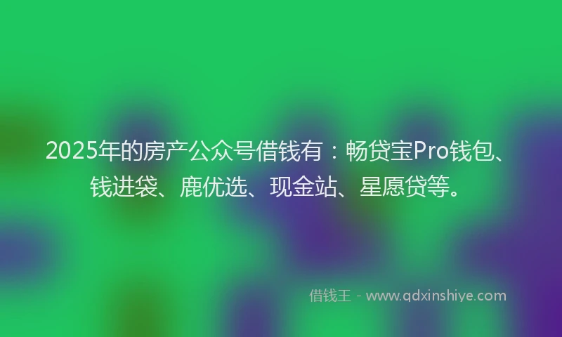 2025年的房产公众号借钱有：畅贷宝Pro钱包、钱进袋、鹿优选、现金站、星愿贷等。