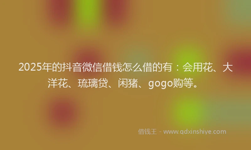 2025年的抖音微信借钱怎么借的有：会用花、大洋花、琉璃贷、闲猪、gogo购等。
