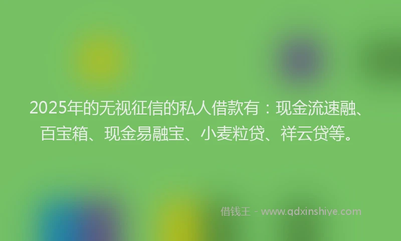 2025年的无视征信的私人借款有：现金流速融、百宝箱、现金易融宝、小麦粒贷、祥云贷等。